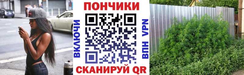 Меф мяу мяу Болхов