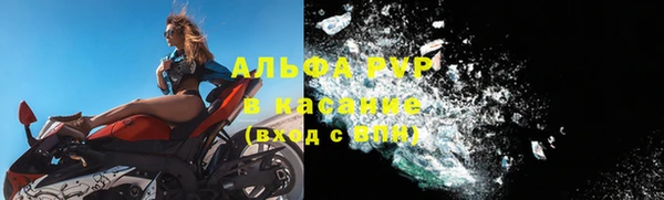 индика Корсаков