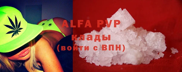 индика Корсаков