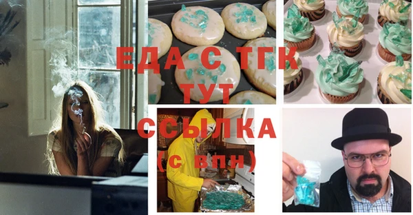 индика Корсаков