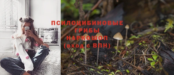 PSILOCYBIN Костерёво