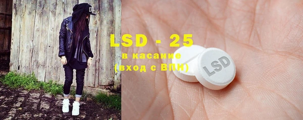 PSILOCYBIN Костерёво
