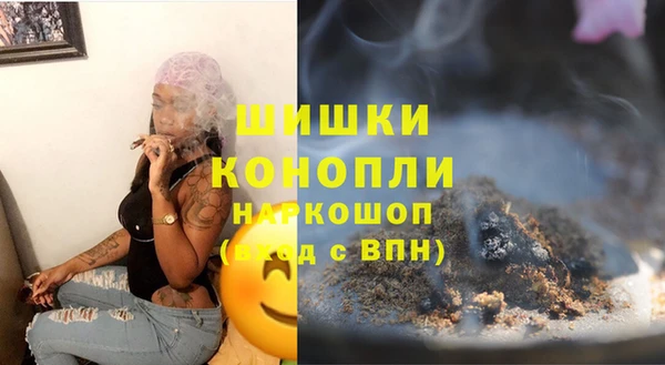 индика Корсаков
