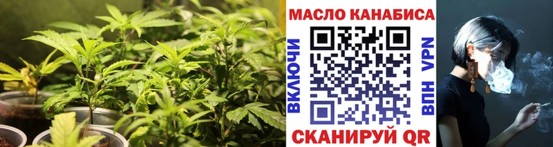 Дистиллят ТГК концентрат Купить где Болхов