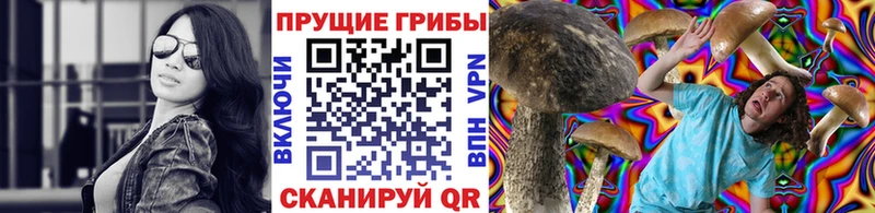 Галлюциногенные грибы Psilocybine cubensis  Купить где  Болхов 